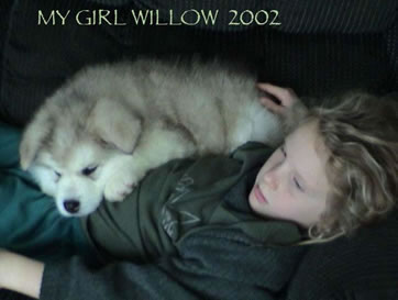 ALASKAN MALAMUTE PUPPY AND WILLOW